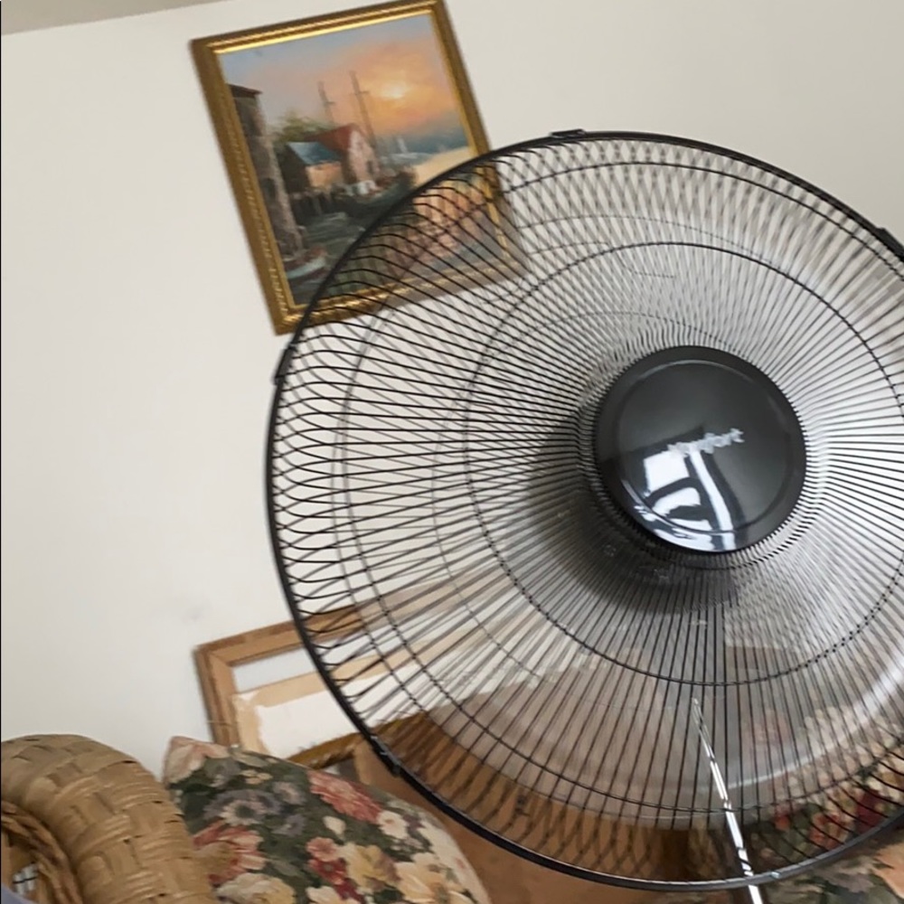 Meet your Posher, Madeline